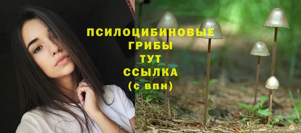 соль курить ск Аркадак