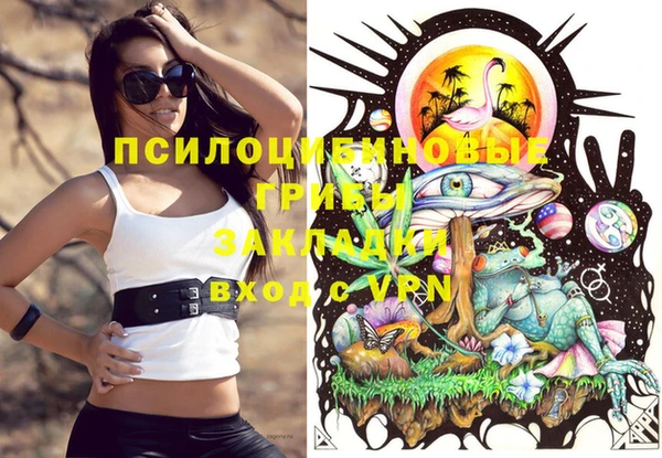 ECSTASY Медвежьегорск